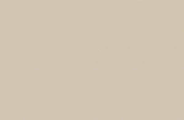 AY160-In-the-Trenches-1.jpg