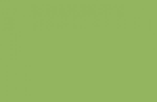 SV7410-LIMEADE-1-1.jpg