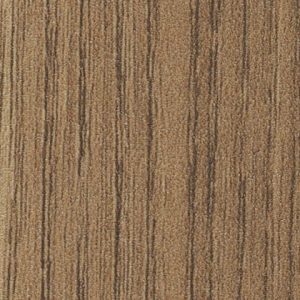Exquisite Elm