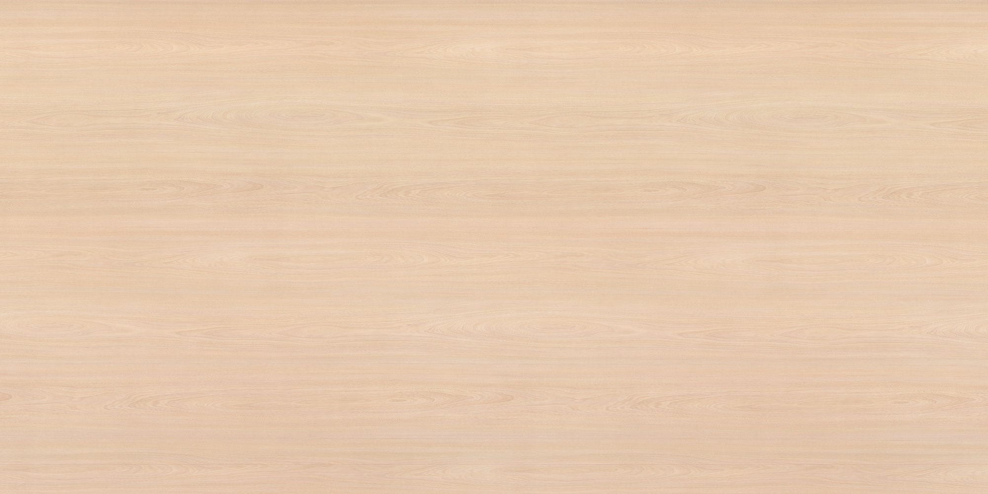 White Elm | Panolam Surface Systems