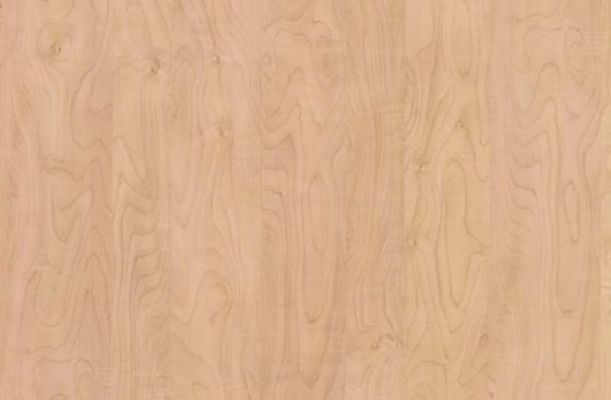 Amber Curly Maple – Panolam Surface Systems